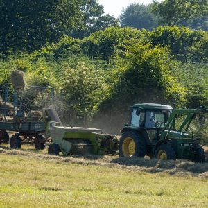 agricultural machinery, field, tractor-7300857.jpg